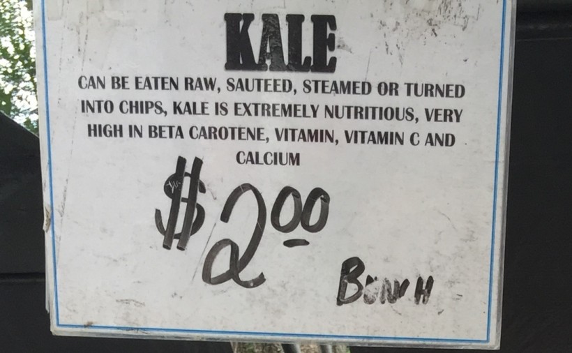 El kale, una superverdura