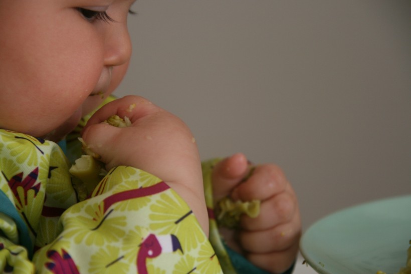 Baby-led weaning (BLW) o alimentación autorregulada por el bebé